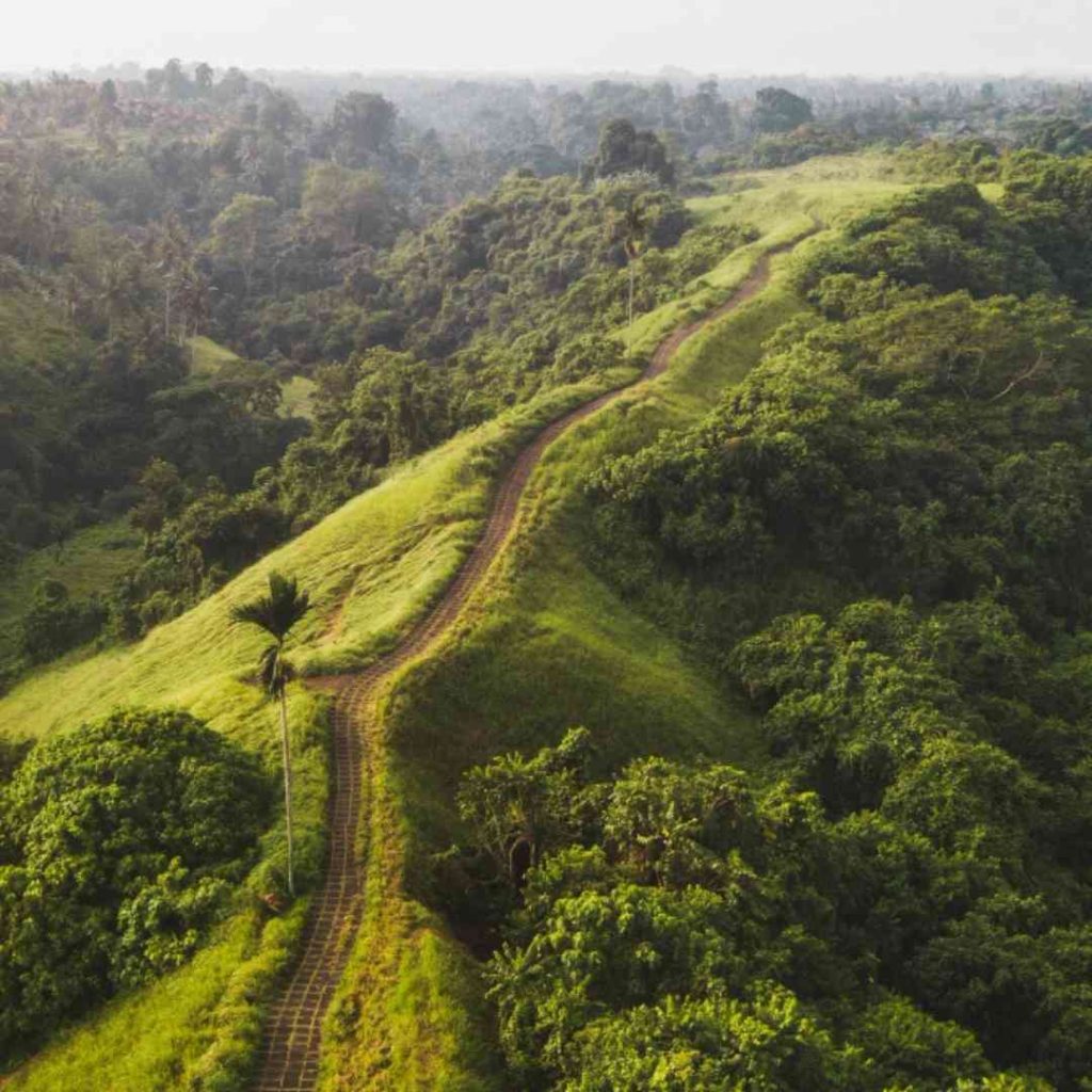 Bukit Campuhan Ubud